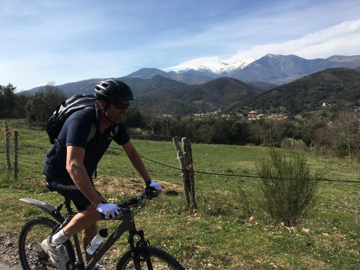 Villa Bonheur Vallespir Céret Eksteriør bilde