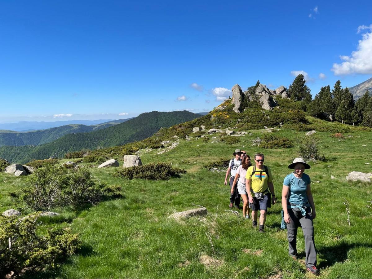 Villa Bonheur Vallespir Céret Eksteriør bilde